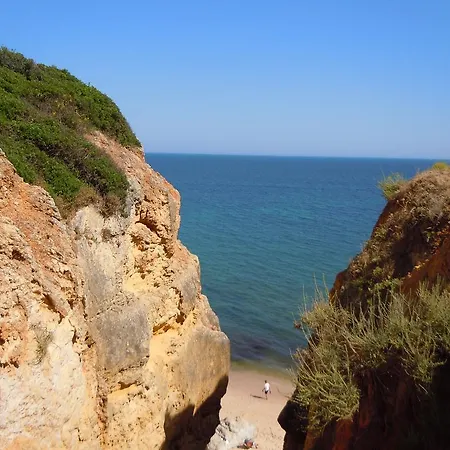 Jardins Do Mar
